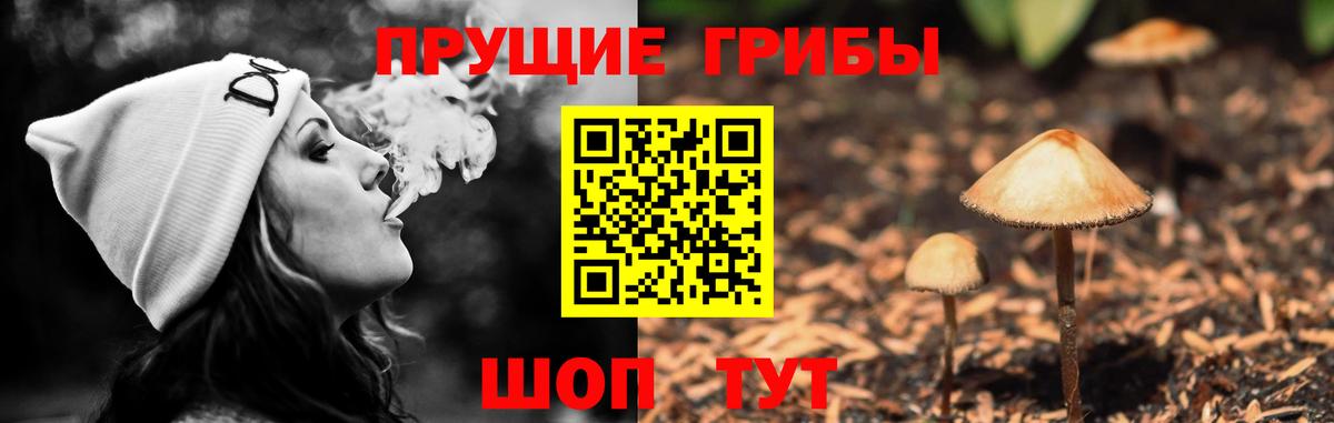 Псилоцибиновые грибы MAGIC MUSHROOMS  Вход с VPN  Гурьевск  Псилоцибиновые грибы MAGIC MUSHROOMS 